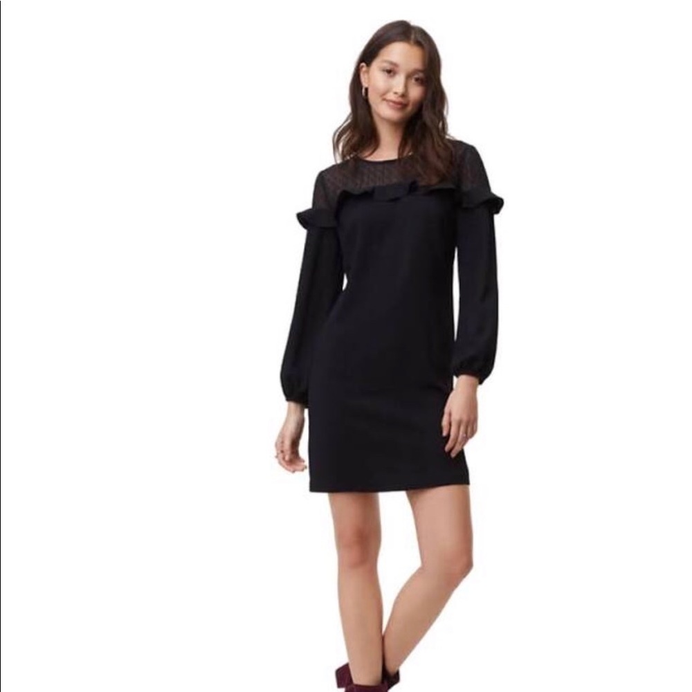 Loft Sheer Dot Yoke Shift Dress || NWT